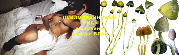 каннабис Баксан