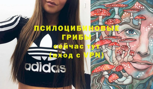 крисы Балахна