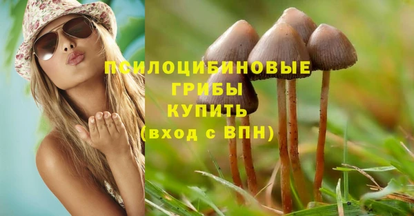 крисы Балахна